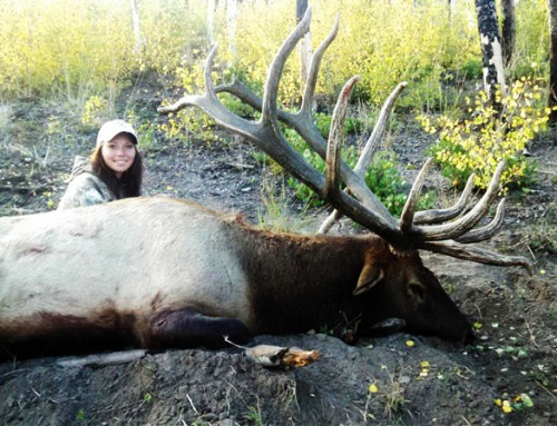 Giant Bull Elk Scoring Over 390″ From Utah